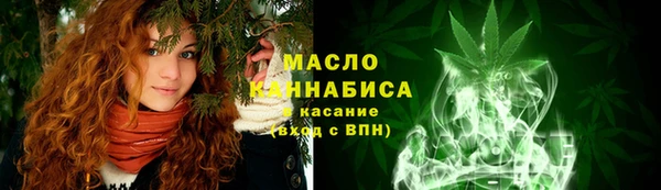 гашик Горняк