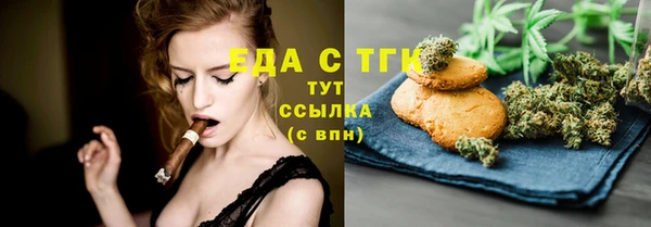 гашик Вяземский