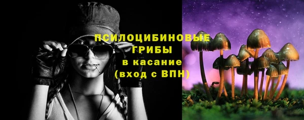 гашик Горняк