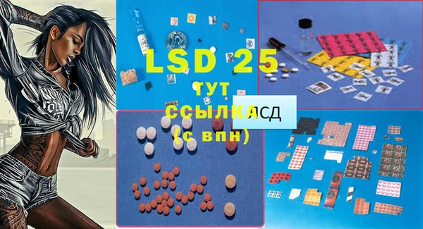 гашик Горняк