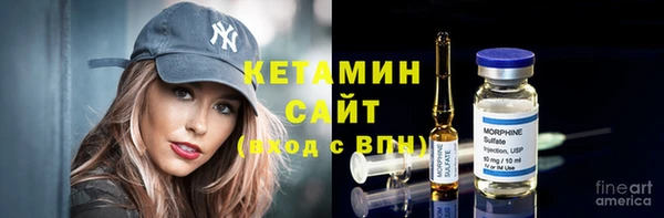 гашик Вяземский
