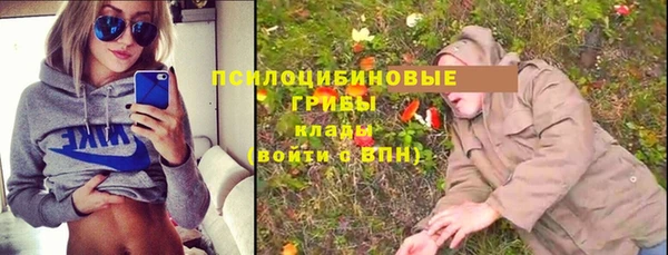 шишки Вязники