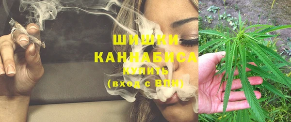 шишки Вязники
