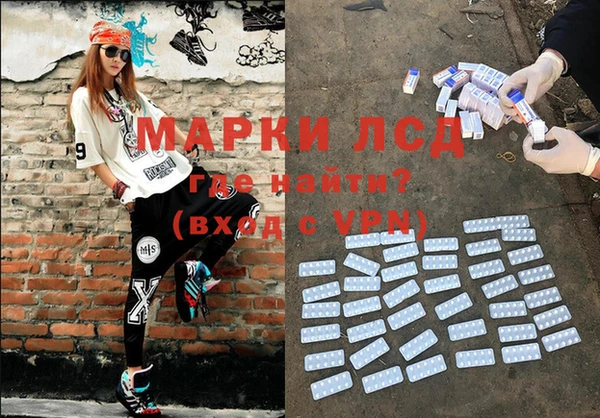 гашик Вяземский