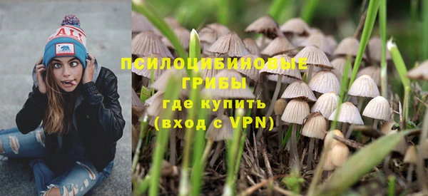шишки Вязники
