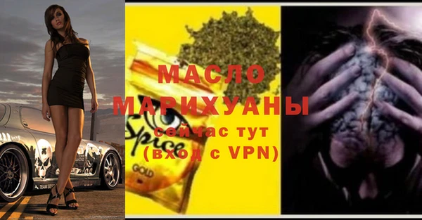 гашик Вяземский